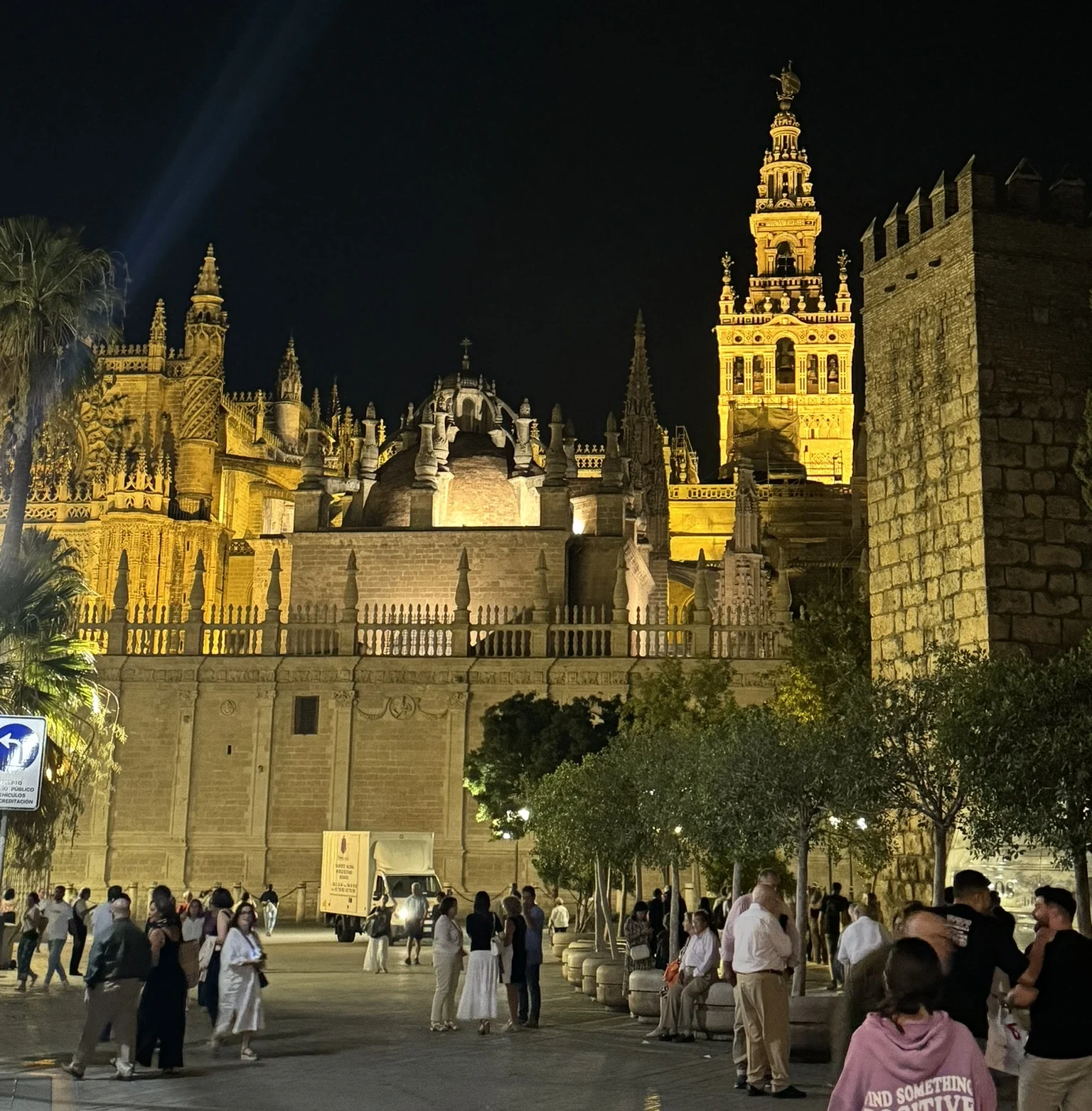 catedral de sevilla de noche