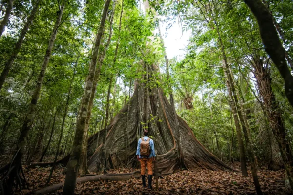 Guía completa para viajar a Colombia