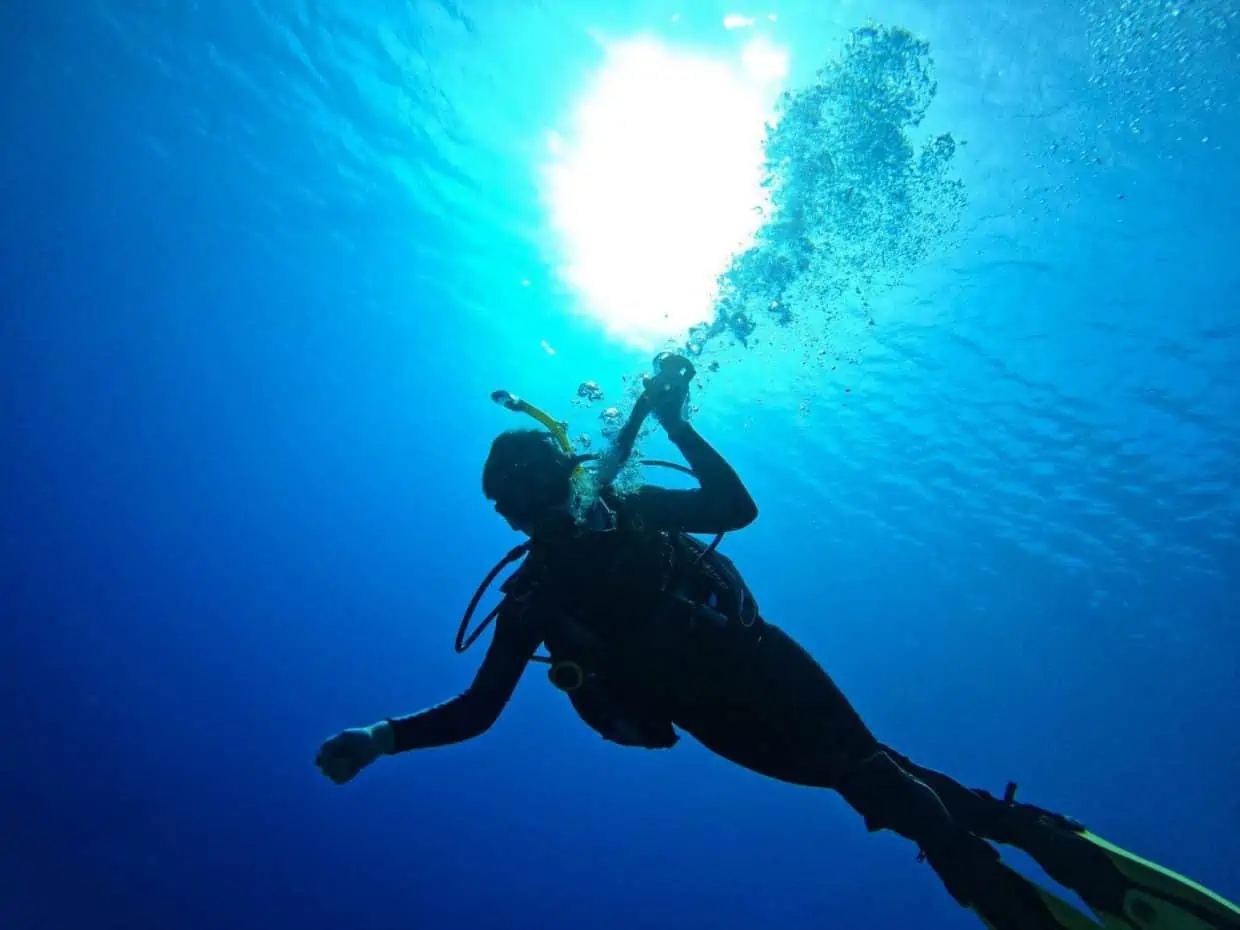 Go on vacation to go diving