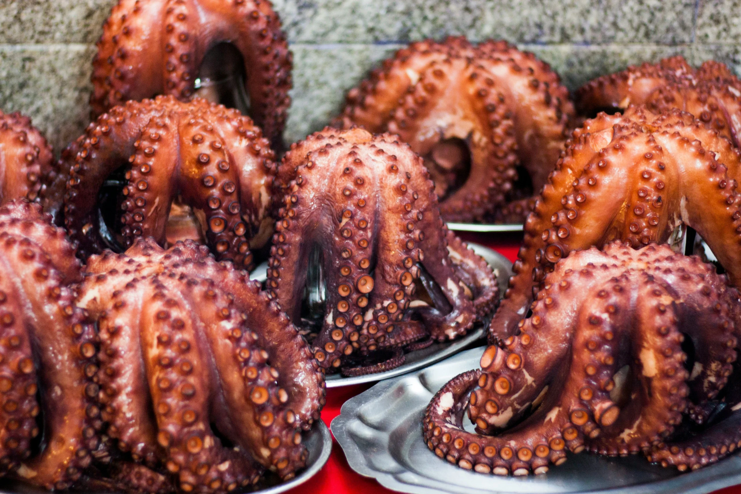 Dónde comer bien en Galicia: joyas gastronómicas y sabores frente al mar
