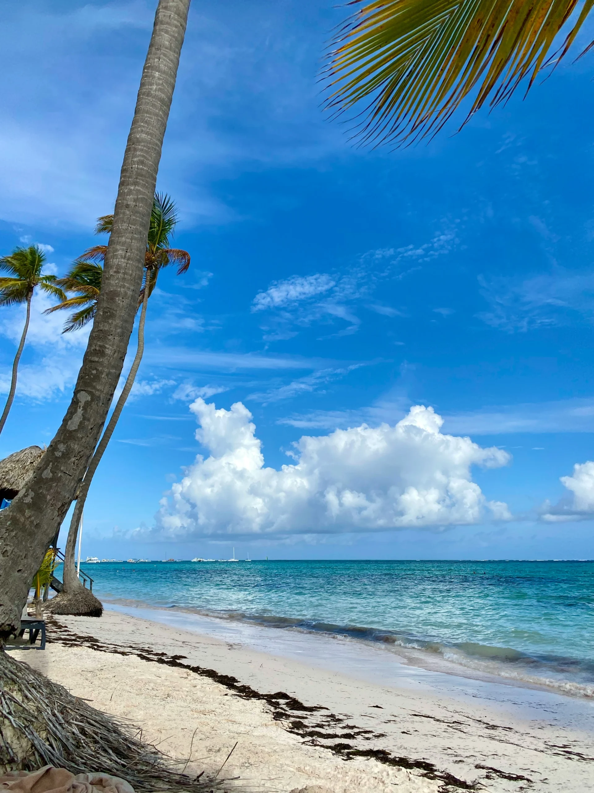 ¿Cuál es la mejor playa de Punta Cana para ti? Guía según tu estilo de viaje